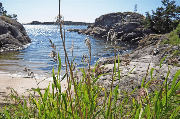Kyststien i Bamble – tur langs sjø, skjær og badeviker